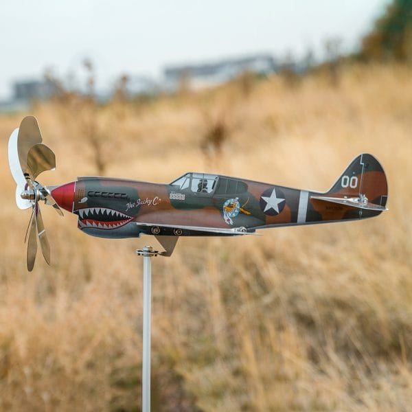 p-40-kittyhawk-flugzeug