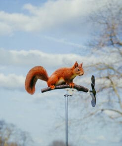 Alternative view of Eichhörnchen